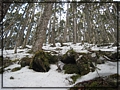2011-03-08 08-07-26-黑森林踏雪行.JPG